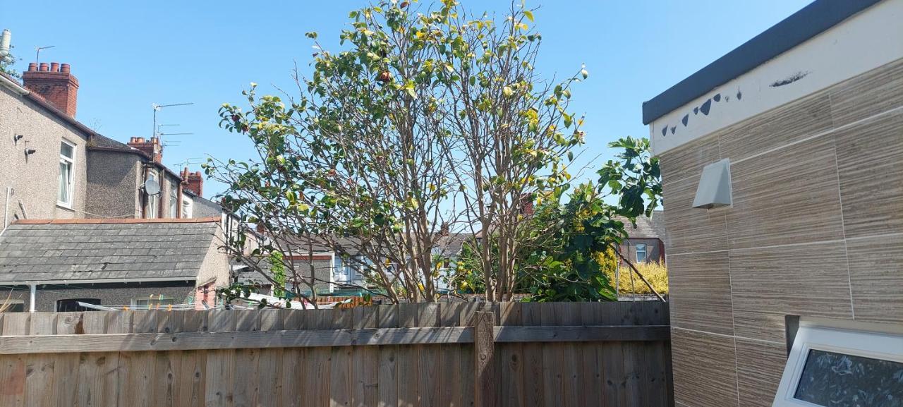 Homey Studio In Newport Perfect For Couples & Travelers 외부 사진